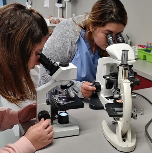 Two students using microscopes to view collected samples