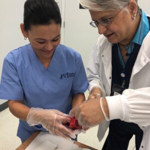 Nurse and man with blood pressure test in hospital for heart health or wellness.